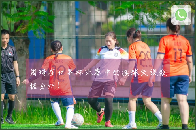 周琦在世界杯比赛中的接球失误数据分析！